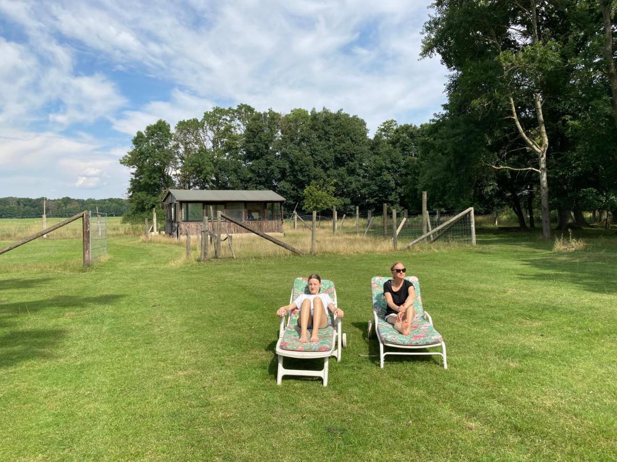Gutshaus Pinnow Pinnow  エクステリア 写真